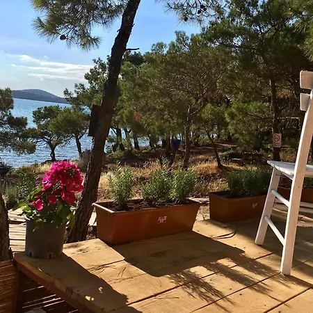 Pusula * Ayvalı